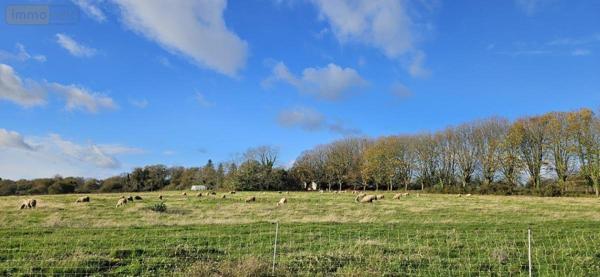 Immeuble à vendre à Tréméoc dans le Finistère (29120), ref : 29152-119