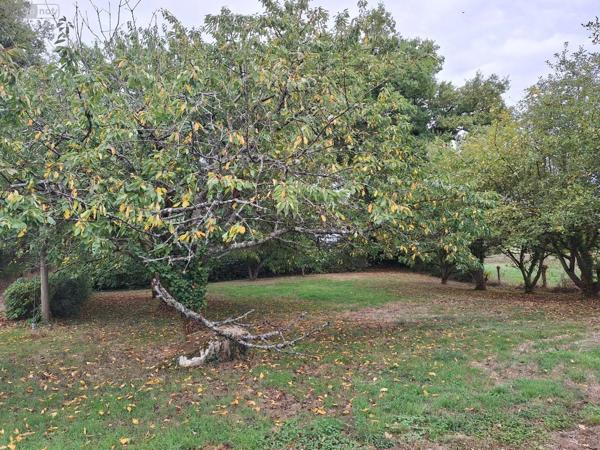 Achat - Maison Chailland 53420 4 pièces 75 m 2 2368 m 2