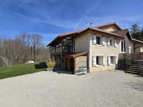 Vente / Maison en pierre