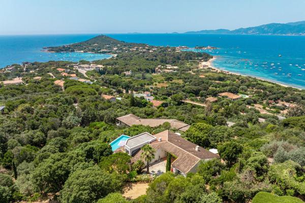 Vente Villa de luxe Pietrosella 10 Pièces 275 m²