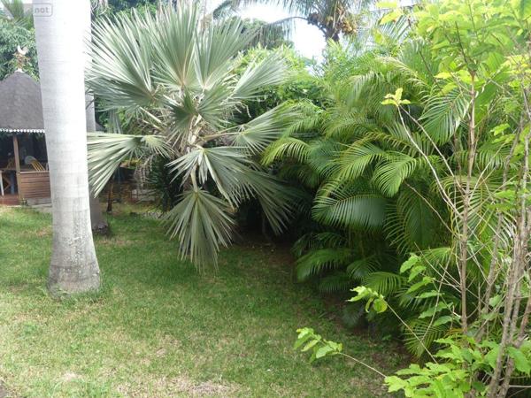 Maison à restaurer à vendre à Les Avirons à la Réunion (97425), ref : 97405/255   
Le Ruisseau