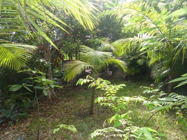 Maison à restaurer à vendre à Les Avirons à la Réunion (97425), ref : 97405/255   
Le Ruisseau