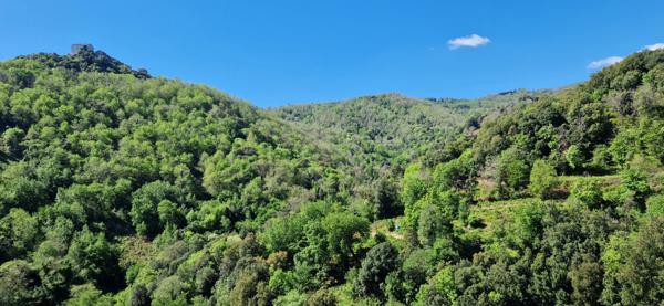 Dpt Corse (20), à vendre SORBO OCAGNANO MAISON 160m² SUR 900m² DE TERRAIN - BELLE VUE MER