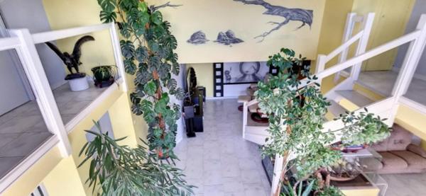 MAISON 213m2 divisée en 2 logements