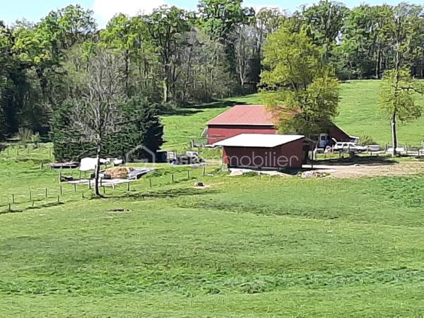 Sur la commune de Chaillac-sur-Vienne, à 6 minutes de Saint-Junien, 
Pré pour presque 6,3 ha.
Terrain entièrement clôturé par du barbelé.
Alimentation en eau par 2 puits qui ne s'assèchent pas.
Présence d'un hangar d'environ 200 m² et d'une stabulation d'environ 70 m².
Ideal pour chevaux, basse-cour, moutons, alpagas ou autres animaux.
Accès par une desserte locale.