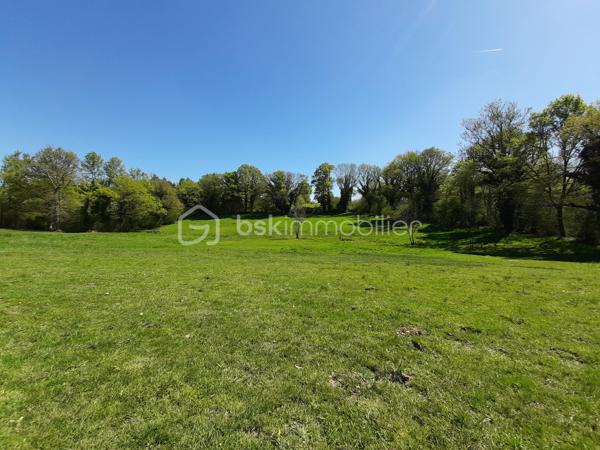 Sur la commune de Chaillac-sur-Vienne, à 6 minutes de Saint-Junien, 
Pré pour presque 6,3 ha.
Terrain entièrement clôturé par du barbelé.
Alimentation en eau par 2 puits qui ne s'assèchent pas.
Présence d'un hangar d'environ 200 m² et d'une stabulation d'environ 70 m².
Ideal pour chevaux, basse-cour, moutons, alpagas ou autres animaux.
Accès par une desserte locale.