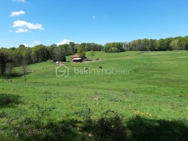 Sur la commune de Chaillac-sur-Vienne, à 6 minutes de Saint-Junien, 
Pré pour presque 6,3 ha.
Terrain entièrement clôturé par du barbelé.
Alimentation en eau par 2 puits qui ne s'assèchent pas.
Présence d'un hangar d'environ 200 m² et d'une stabulation d'environ 70 m².
Ideal pour chevaux, basse-cour, moutons, alpagas ou autres animaux.
Accès par une desserte locale.