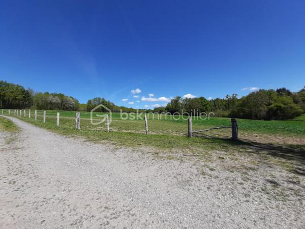 Sur la commune de Chaillac-sur-Vienne, à 6 minutes de Saint-Junien, 
Pré pour presque 6,3 ha.
Terrain entièrement clôturé par du barbelé.
Alimentation en eau par 2 puits qui ne s'assèchent pas.
Présence d'un hangar d'environ 200 m² et d'une stabulation d'environ 70 m².
Ideal pour chevaux, basse-cour, moutons, alpagas ou autres animaux.
Accès par une desserte locale.