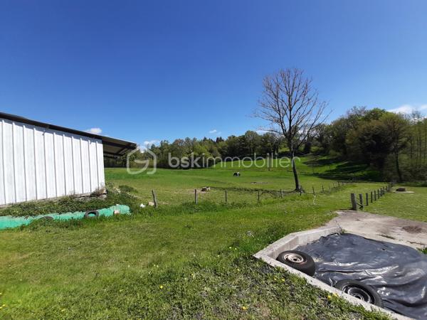Sur la commune de Chaillac-sur-Vienne, à 6 minutes de Saint-Junien, 
Pré pour presque 6,3 ha.
Terrain entièrement clôturé par du barbelé.
Alimentation en eau par 2 puits qui ne s'assèchent pas.
Présence d'un hangar d'environ 200 m² et d'une stabulation d'environ 70 m².
Ideal pour chevaux, basse-cour, moutons, alpagas ou autres animaux.
Accès par une desserte locale.