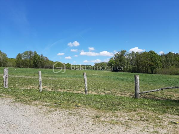 Sur la commune de Chaillac-sur-Vienne, à 6 minutes de Saint-Junien, 
Pré pour presque 6,3 ha.
Terrain entièrement clôturé par du barbelé.
Alimentation en eau par 2 puits qui ne s'assèchent pas.
Présence d'un hangar d'environ 200 m² et d'une stabulation d'environ 70 m².
Ideal pour chevaux, basse-cour, moutons, alpagas ou autres animaux.
Accès par une desserte locale.