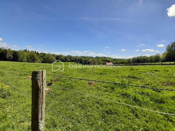 Sur la commune de Chaillac-sur-Vienne, à 6 minutes de Saint-Junien, 
Pré pour presque 6,3 ha.
Terrain entièrement clôturé par du barbelé.
Alimentation en eau par 2 puits qui ne s'assèchent pas.
Présence d'un hangar d'environ 200 m² et d'une stabulation d'environ 70 m².
Ideal pour chevaux, basse-cour, moutons, alpagas ou autres animaux.
Accès par une desserte locale.