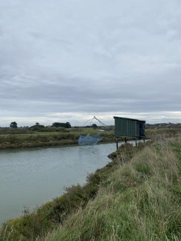 Saint-Hilaire-de-Riez (85270) SAINT-HILAIRE-DE-RIEZ - PARCELLE DE MARAIS AVEC PECHERIE