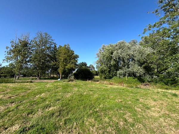 Terrain Constructible non viabilisé avec étang Prée D'Anjou 6772 m²