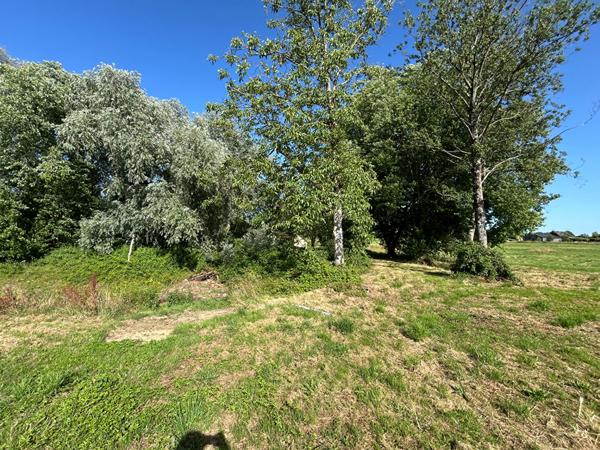Terrain Constructible non viabilisé avec étang Prée D'Anjou 6772 m²