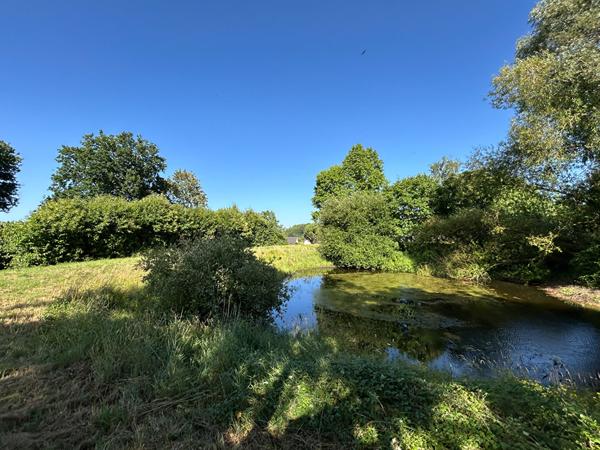 Terrain Constructible non viabilisé avec étang Prée D'Anjou 6772 m²