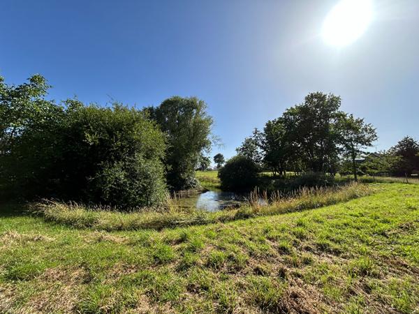 Terrain Constructible non viabilisé avec étang Prée D'Anjou 6772 m²