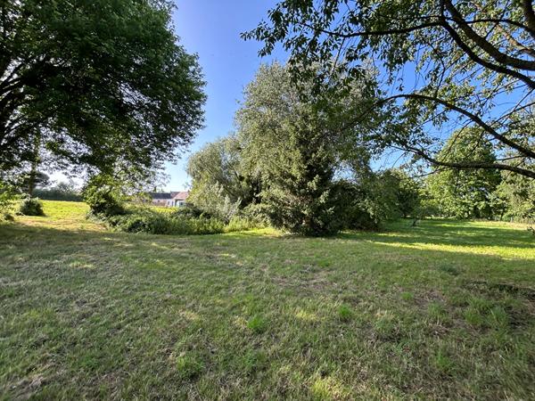 Terrain Constructible non viabilisé avec étang Prée D'Anjou 6772 m²