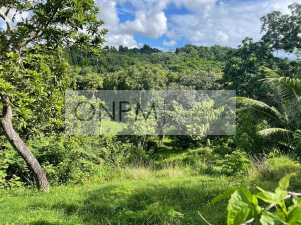 Terrain quartier Syndic Ducos