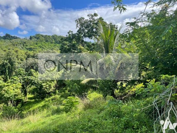 Terrain quartier Syndic Ducos