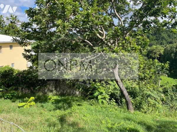 Terrain quartier Syndic Ducos