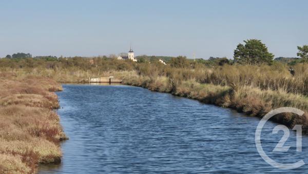 Terrain à vendre  39590 m2 OLONNE SUR MER - 85