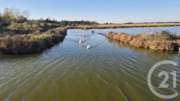Terrain à vendre  39590 m2 OLONNE SUR MER - 85