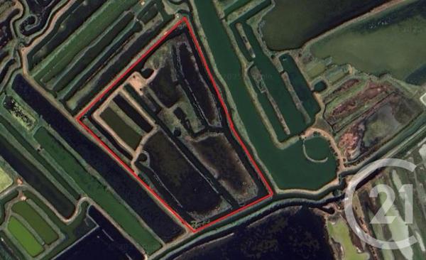 Terrain à vendre  39590 m2 OLONNE SUR MER - 85