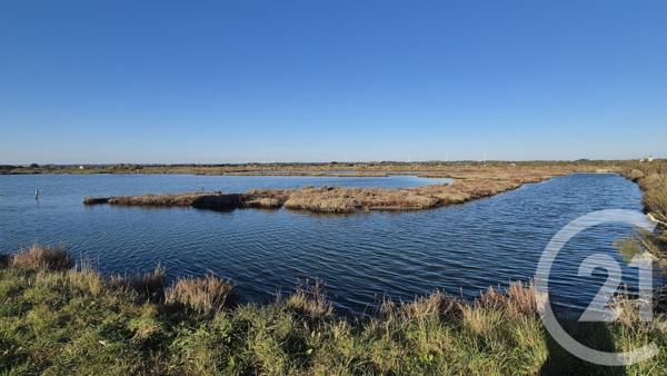 Terrain à vendre  39590 m2 OLONNE SUR MER - 85