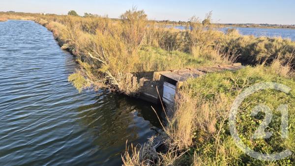 Terrain à vendre  39590 m2 OLONNE SUR MER - 85