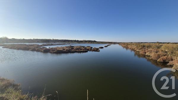 Terrain à vendre  39590 m2 OLONNE SUR MER - 85