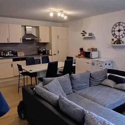 Situé à Mulhouse, dans une petite copropriété, appartement T2 de 54.35 m², vendu loué, proche des axes routiers, proches des commerces