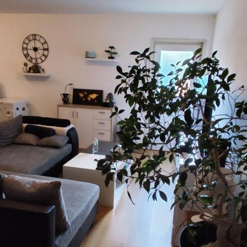 Situé à Mulhouse, dans une petite copropriété, appartement T2 de 54.35 m², vendu loué, proche des axes routiers, proches des commerces