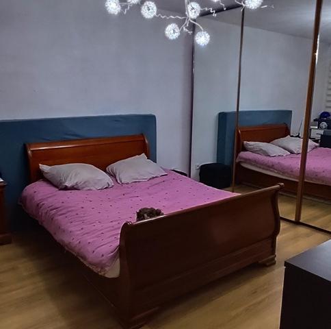 Situé à Mulhouse, dans une petite copropriété, appartement T2 de 54.35 m², vendu loué, proche des axes routiers, proches des commerces