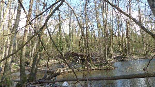 Deux ILES à vendre AIRVAULT (79) 2345 m²