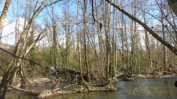 Deux ILES à vendre AIRVAULT (79) 2345 m²