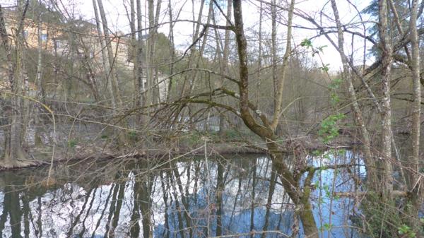 Deux ILES à vendre AIRVAULT (79) 2345 m²