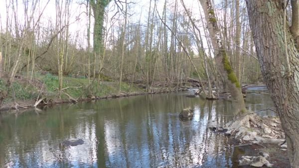 Deux ILES à vendre AIRVAULT (79) 2345 m²