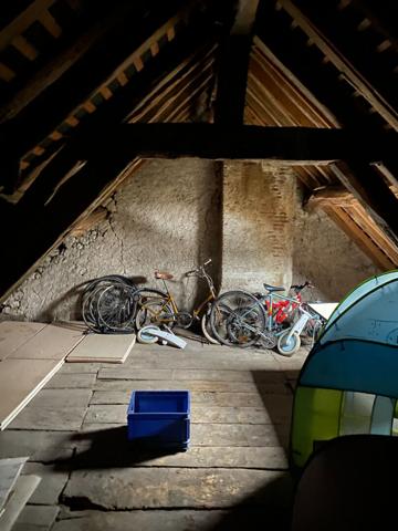 CHECY MAISON ANCIENNE SECTEUR CALME