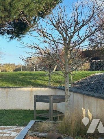 MAISON A VENDRE BAUGE EN ANJOU
10 minutes Baugé
Ravissante et confortable maison ancienne sit...