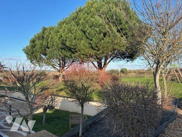 MAISON A VENDRE BAUGE EN ANJOU
10 minutes Baugé
Ravissante et confortable maison ancienne sit...