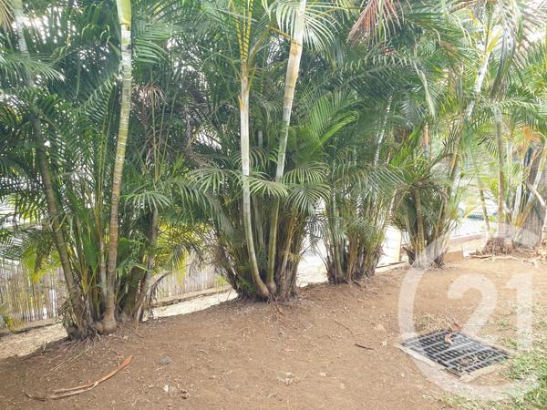 Appartement à vendre  4 pièces - 85,49 m2 ST PAUL - 974