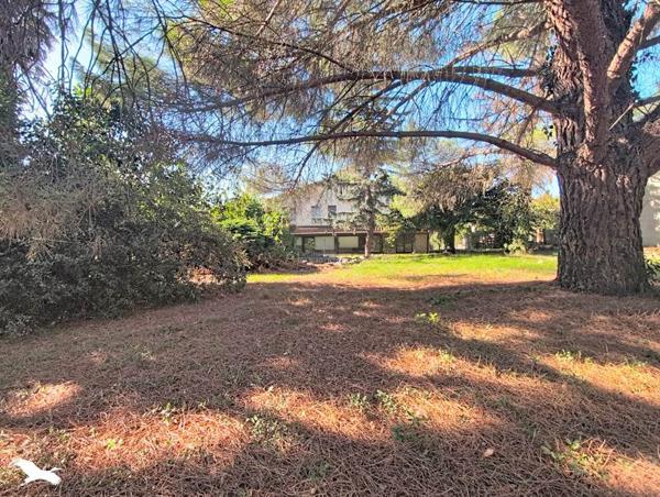 Maison 299 600 € L'Isle-Jourdain 6 p 163 m² DPE D