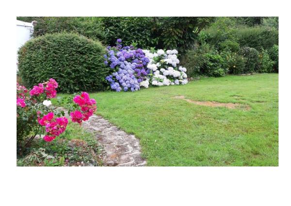 COUP DE COEUR ASSURE