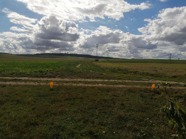 Maison à vendre  10 km  de Witry les Reims   5 pièce(s) 109 m2