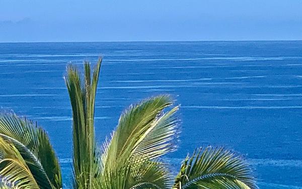 Maison à vendre    9 pièces •  Saint-Paul