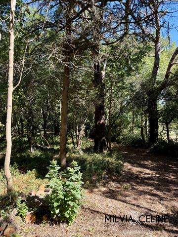Propriete à vendre 32 pièces proche de CARCASSONNE (11) 2 habitations 522m2+ parc 2,82 hectares + dépendances