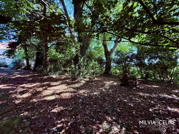 Propriete à vendre 32 pièces proche de CARCASSONNE (11) 2 habitations 522m2+ parc 2,82 hectares + dépendances