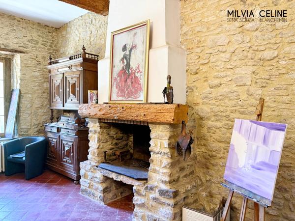 Propriete à vendre 32 pièces proche de CARCASSONNE (11) 2 habitations 522m2+ parc 2,82 hectares + dépendances