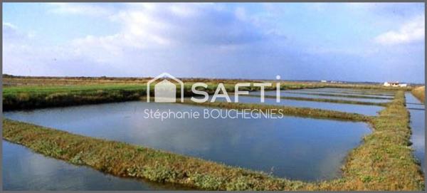 DOMAINE MARITIME RARE – SITE CONCHYLICOLE & AQUACOLE – ÎLE D’OLÉRON