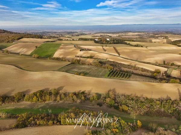 Rare ! Terrain plat et arboré de plus de 1 430 m² avec superbe vue